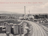 Parna pilana Društva za uvoz hrastovine u Zagrebu, Hrvatska